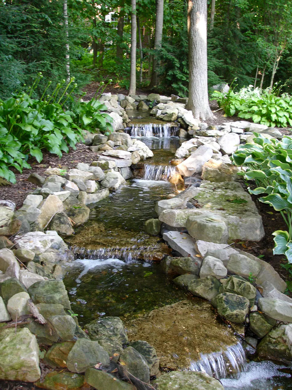 Natural stone stream and waterfall sequence through a shaded garden with hosta and boulders